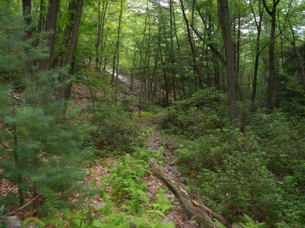 Hikin' in the Hook by John A. Kilmer