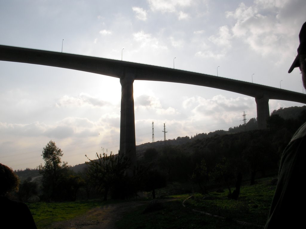 Tallest Bridge in middle east by yfrimer