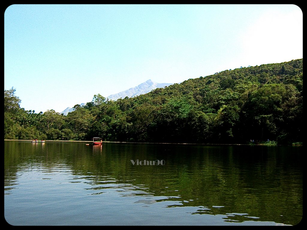 Pookode Lake by Vichu