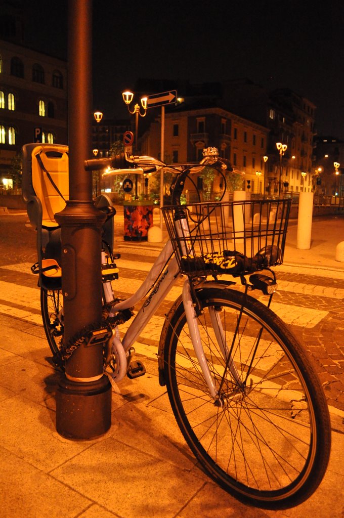 Base lampione utile per cani e bici... by eziozerziani