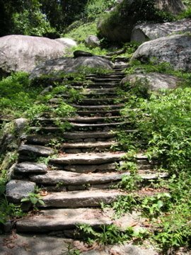 Tayrona trail. Parque Tayrona. Santamarta. by FernandoPacheco