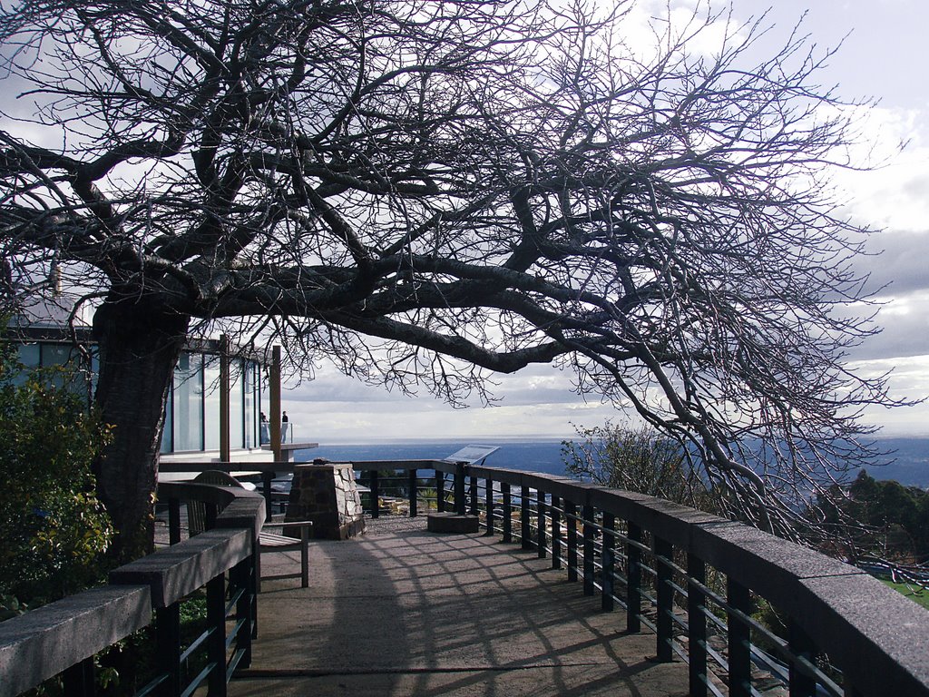 Skyhigh Mount Dandenong Lookout by ΅ PhotoKazia ΅