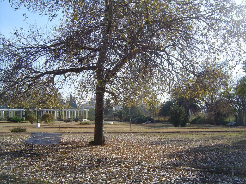 Sarmiento Park - Roses´ Garden by Emiliano Homrich