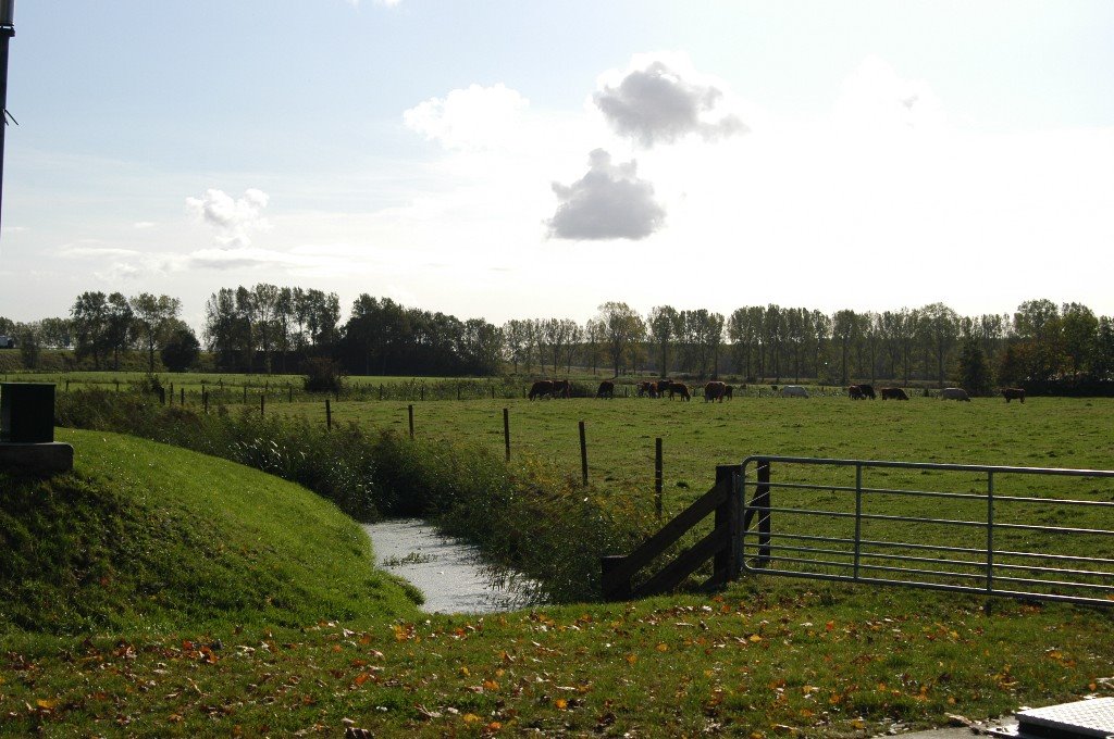 Opwierderweg by Netty van der Deen - Flikkema