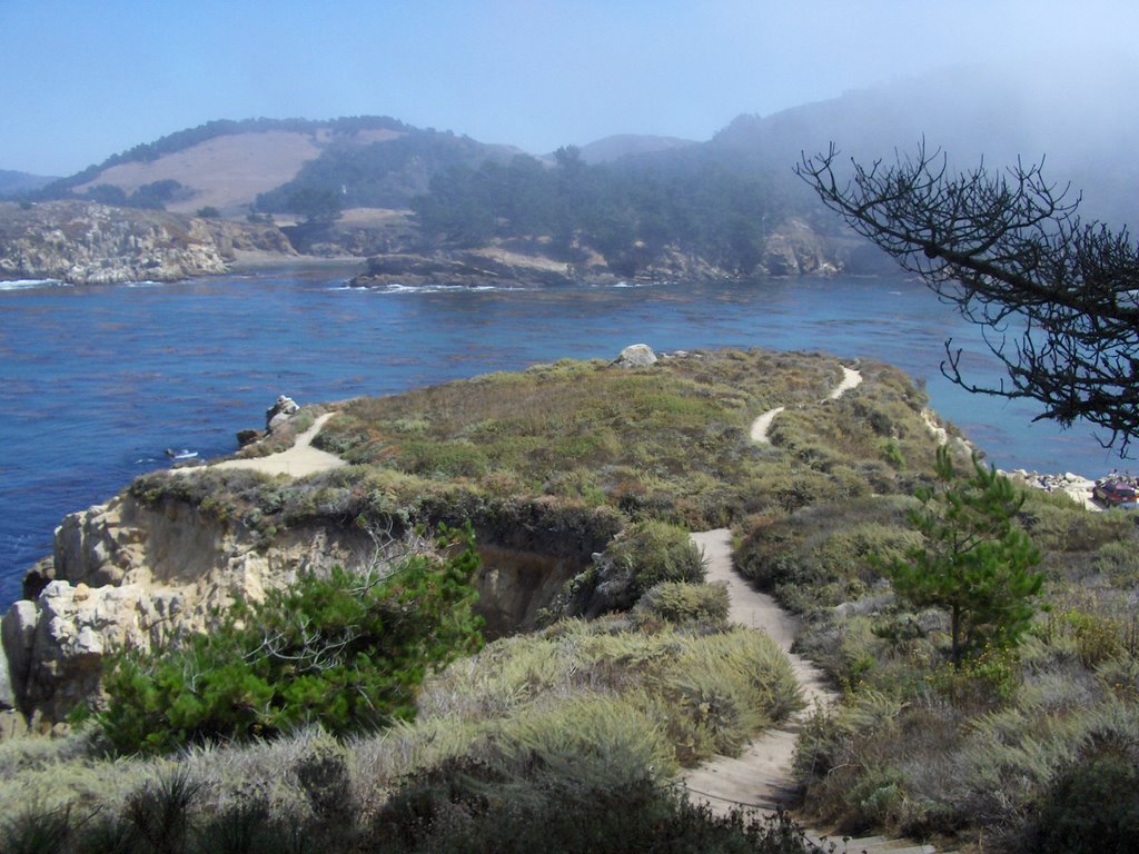 Looking East towards Whaler's Cove by daphire