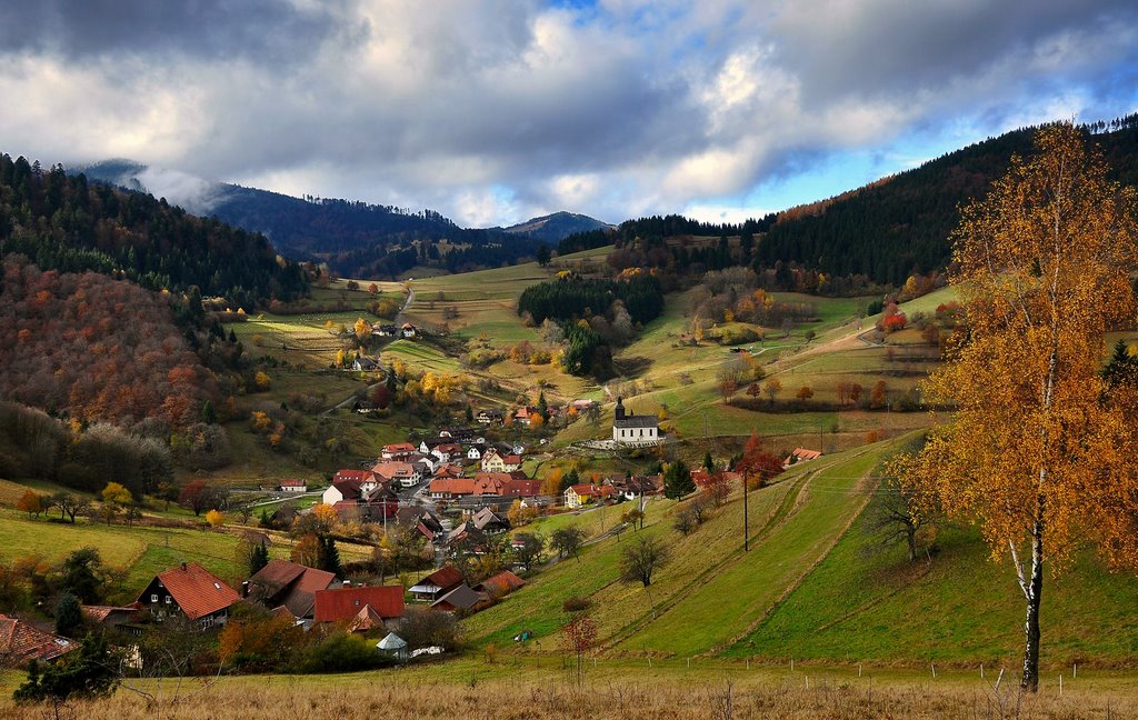 Spätherbst in Neuenweg - Nov.2009 by sebonline