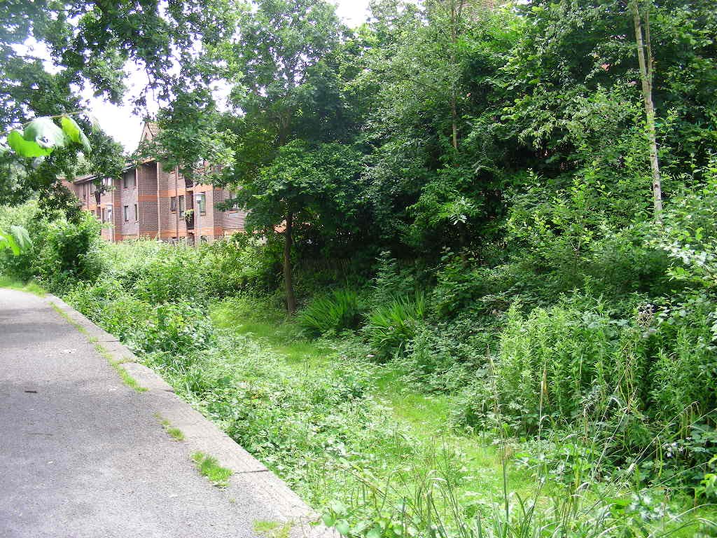 Site of Horam Station by mountpleasant65