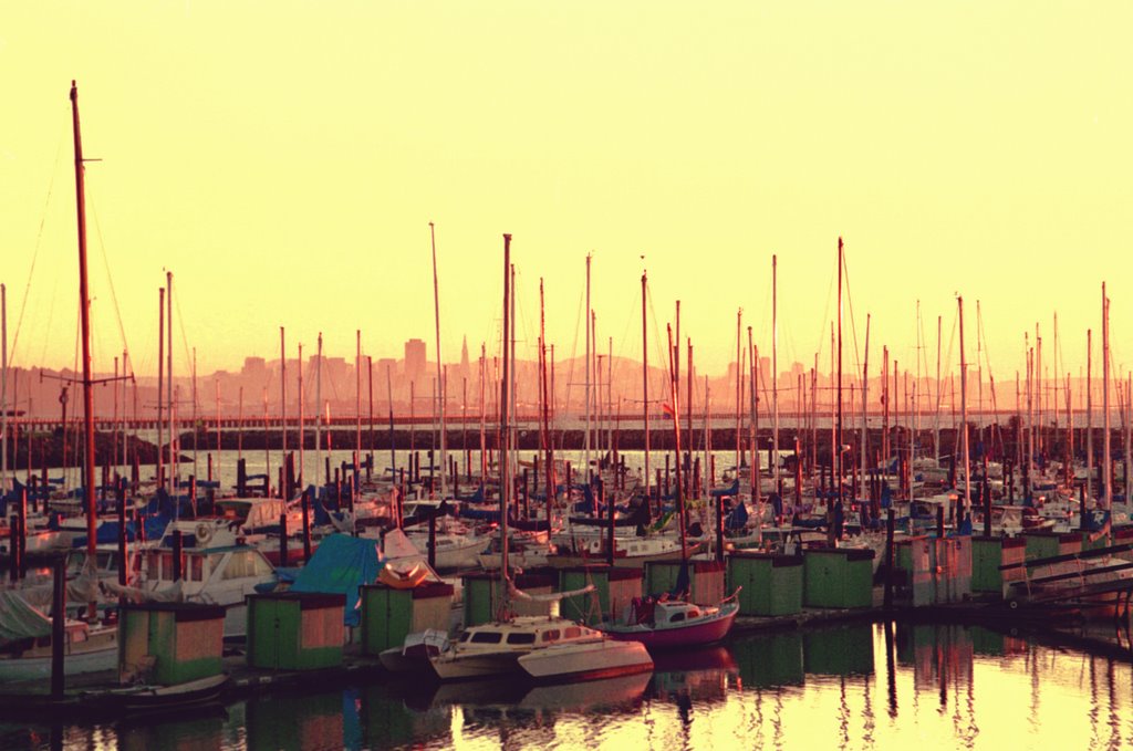 Berkeley: Yacht Harbor in last Light by pezi36