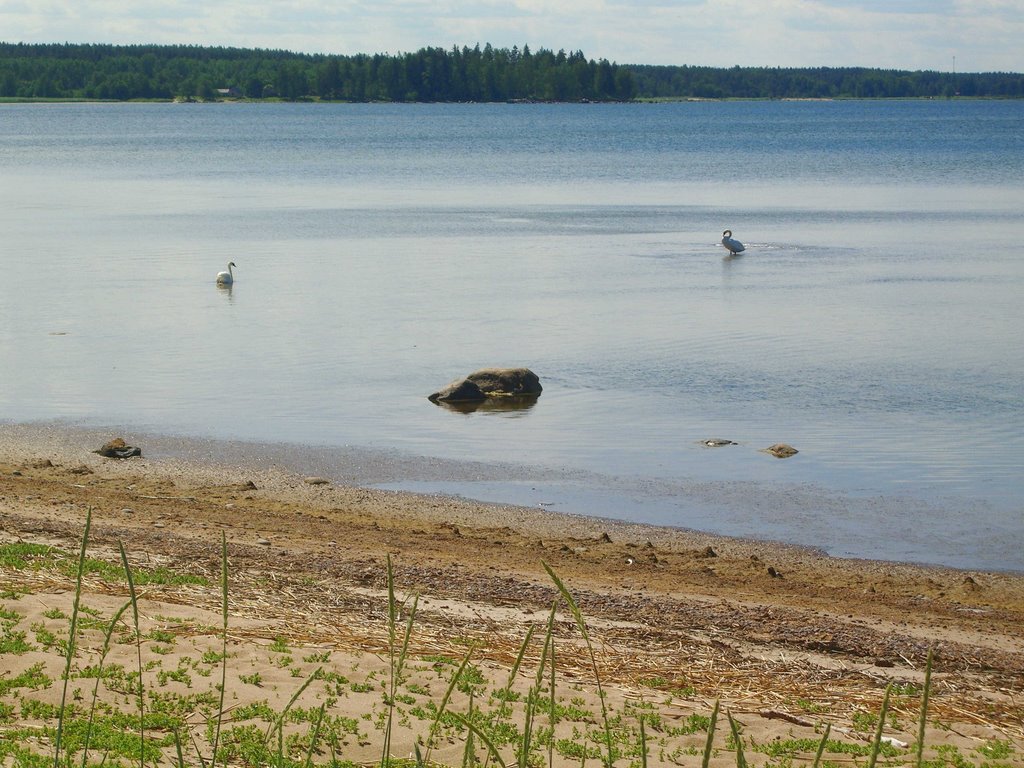 Eru Bay, Estonia by jukka_pnrm