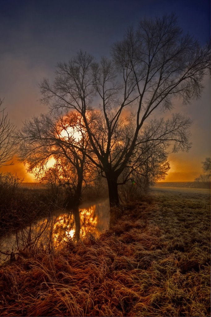 Sonnenaufgang im Morgennebel an der Sur bei Schönram by Hartl