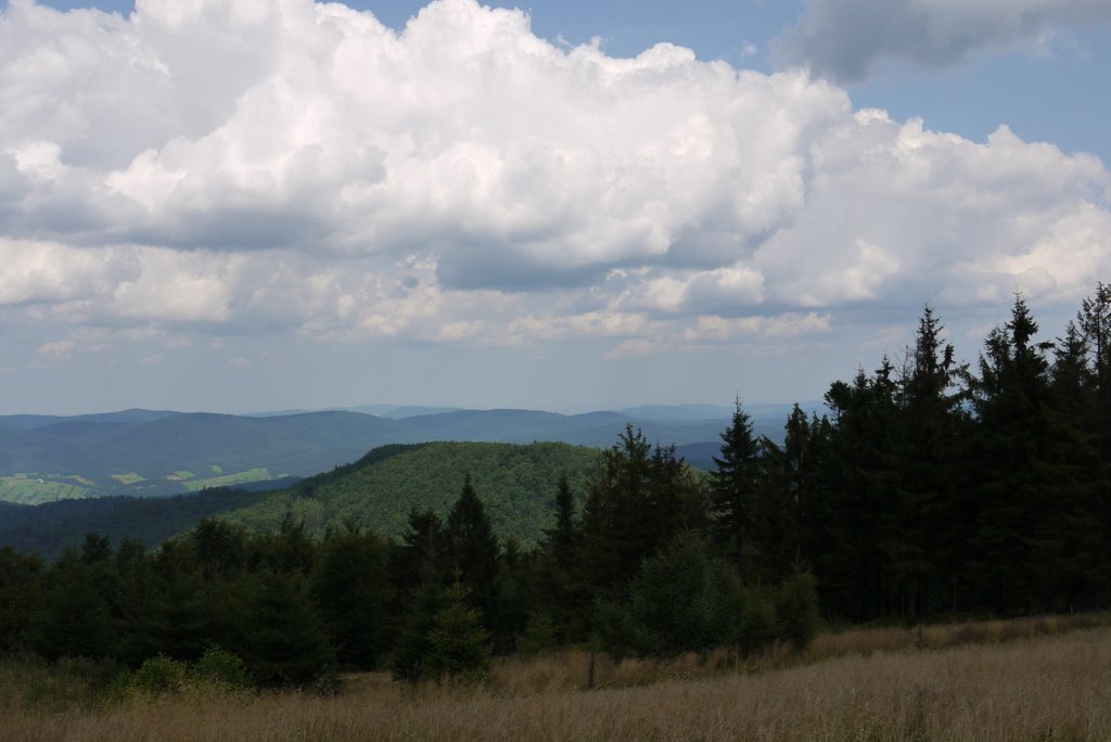 Halia Łabowska, rozciąga się stąd panorama w kierunku północnym i północno-wschodnim – widać pierwsze wzniesienia Beskidu Niskiego by AdamoKrzyś