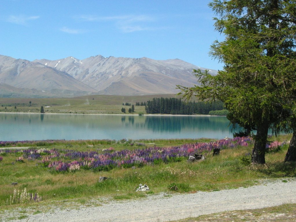 Lake Tekapo by barryc