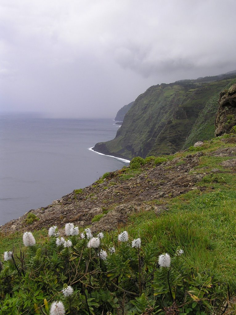 Near Ponta do Pargo by Marzio Regolini