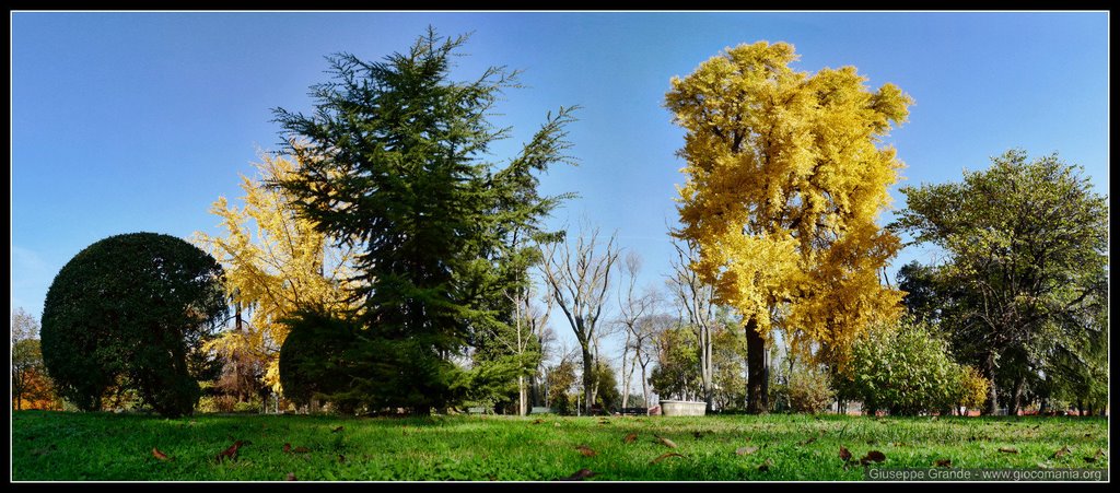 Cascine d'autunno by Giuseppe Grande