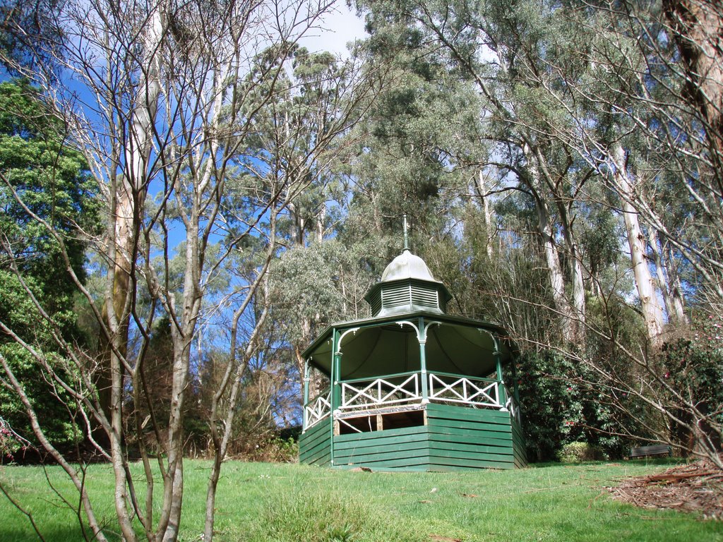 Dandenong Ranges National Park by ΅ PhotoKazia ΅