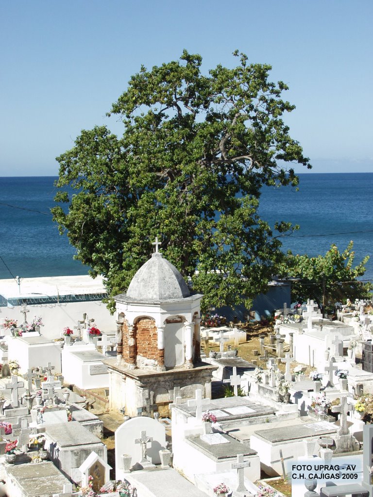 Cementerio by bibliotecaaguadilla