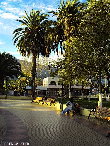 Plaza de la Ligua by thebaxtix