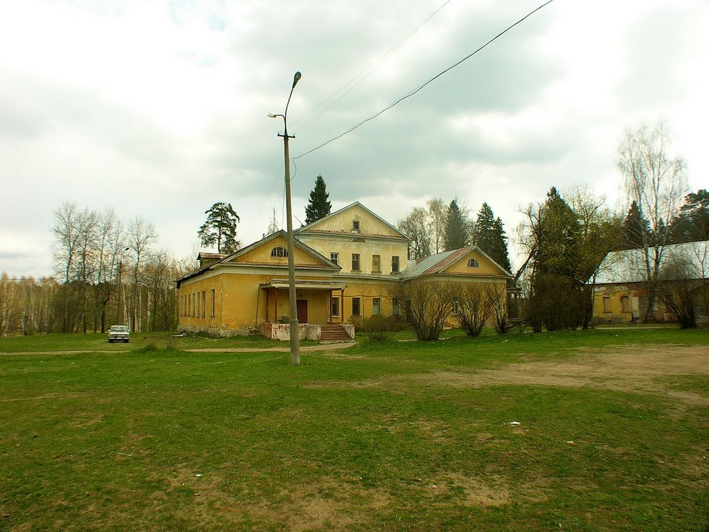 Усадьба Медное-Власово (Mednoe-Vlasovo manor) by Vadim Razumov