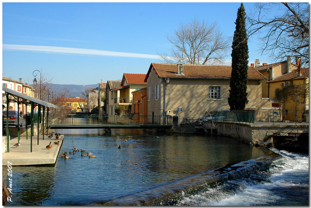 L'Isle sur la Sorgue la Venise Provençale, Vaucluse, France. by © P. Amet