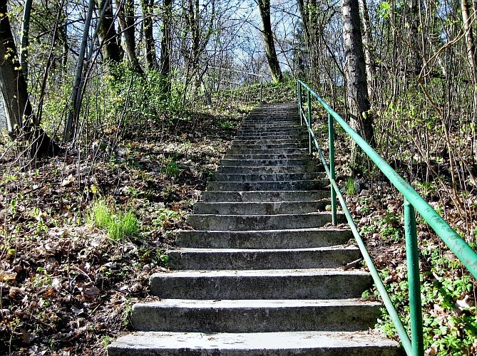 Gdańsk Aniołki - park na terenie Akademii Medycznej by AnnaJolanta 3