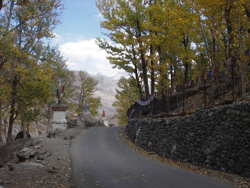 Near Hemis Gompa. Autumn. by Adrov Yuri