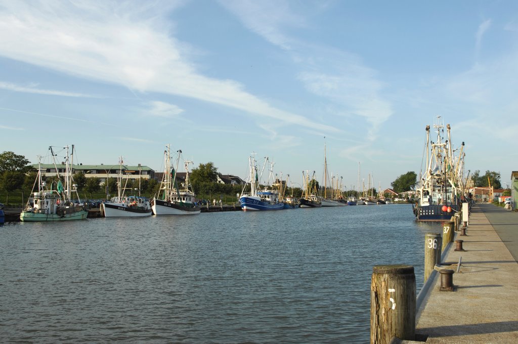 Büsum, Hafen by Uwe Gehring