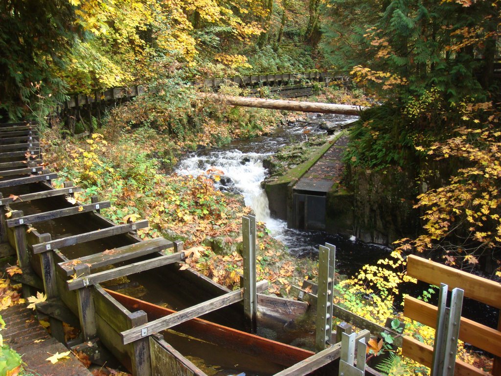 Water that runs the Grist Mill by DeEtte Fisher