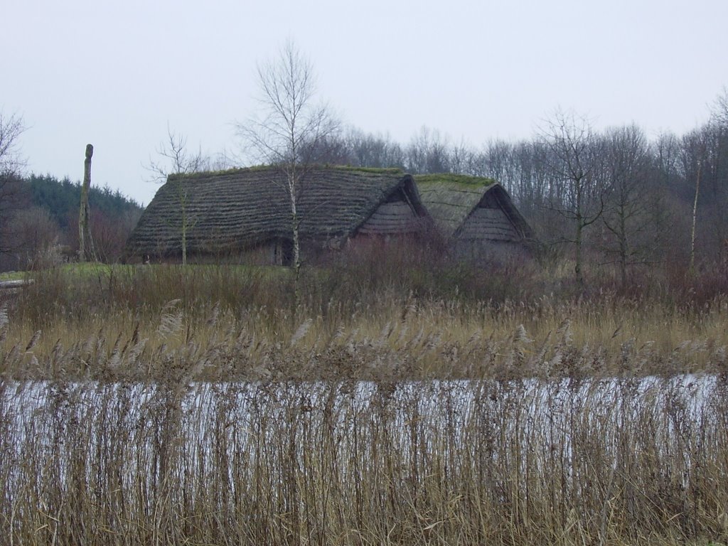 Flevoland Natuurpark Lelystad by Michiel Könst