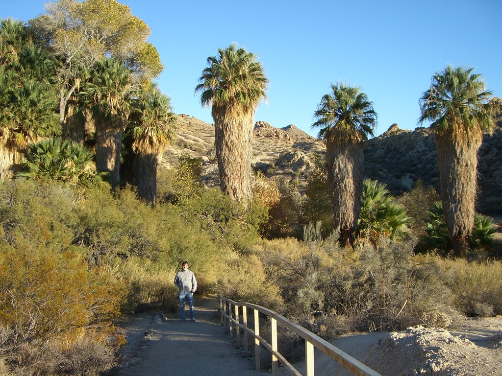 Joshua Tree National Park by PascalWinkler