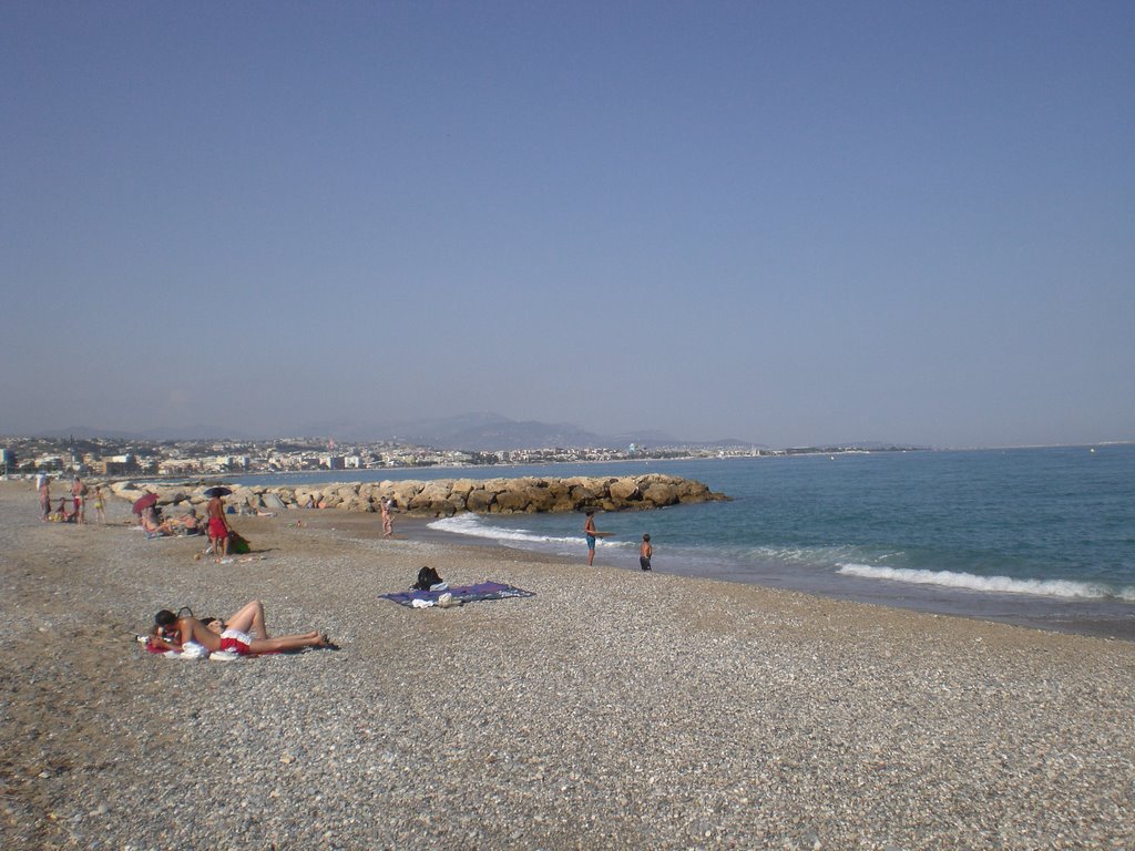 Plage pur les chiens by cernidiablik