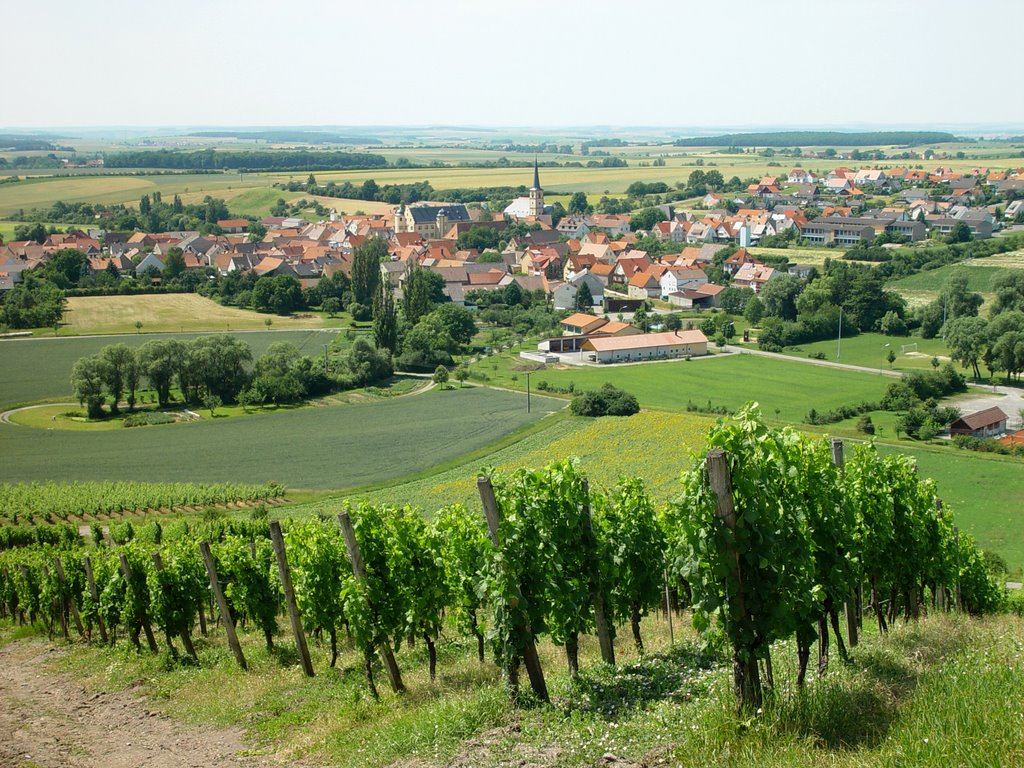 Oberschwarzach Blick von der Weinbergskappelle by Senkbeil