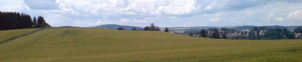 Blick auf Lößnitz und den Pfefferberg by B.K.1