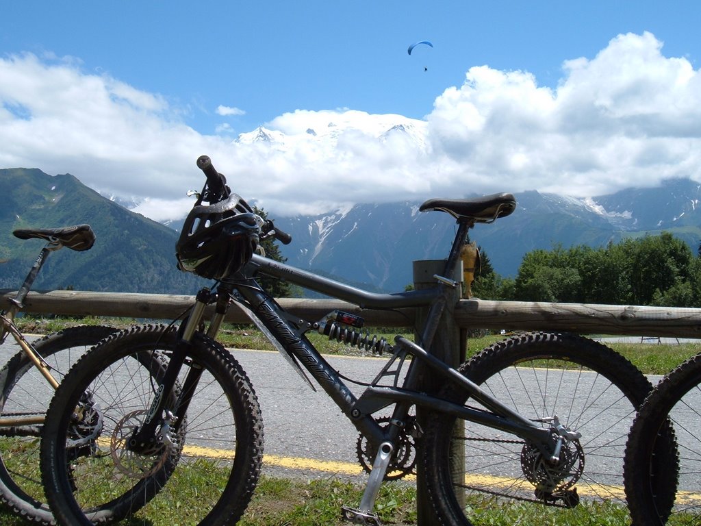 Mont Blanc from Plaine-Joux by nick_d