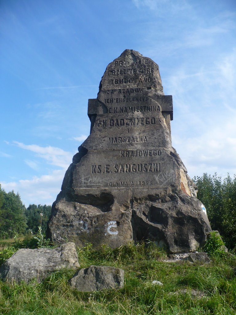 Przełęcz Sanguszki by Michał Florek