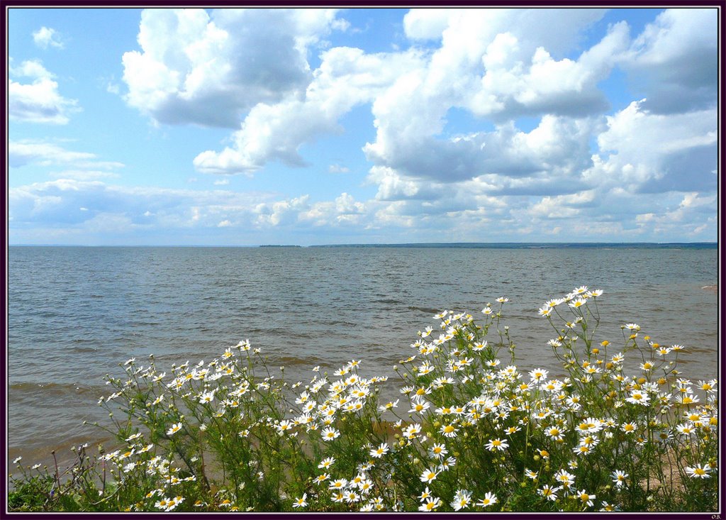 На берегу Камы / On the bank of the Kama by Oleg Belyakov