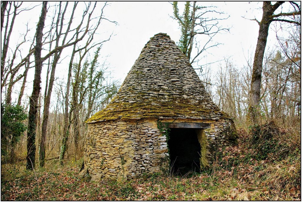 ARCHIGNAC [24] - Cabane (et surtout pas "borie" !) dans les bois. (février 2009) by Michel Chanaud