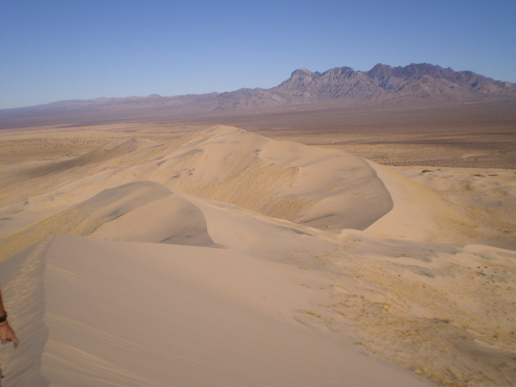 Kelso Dunes by briantravelman