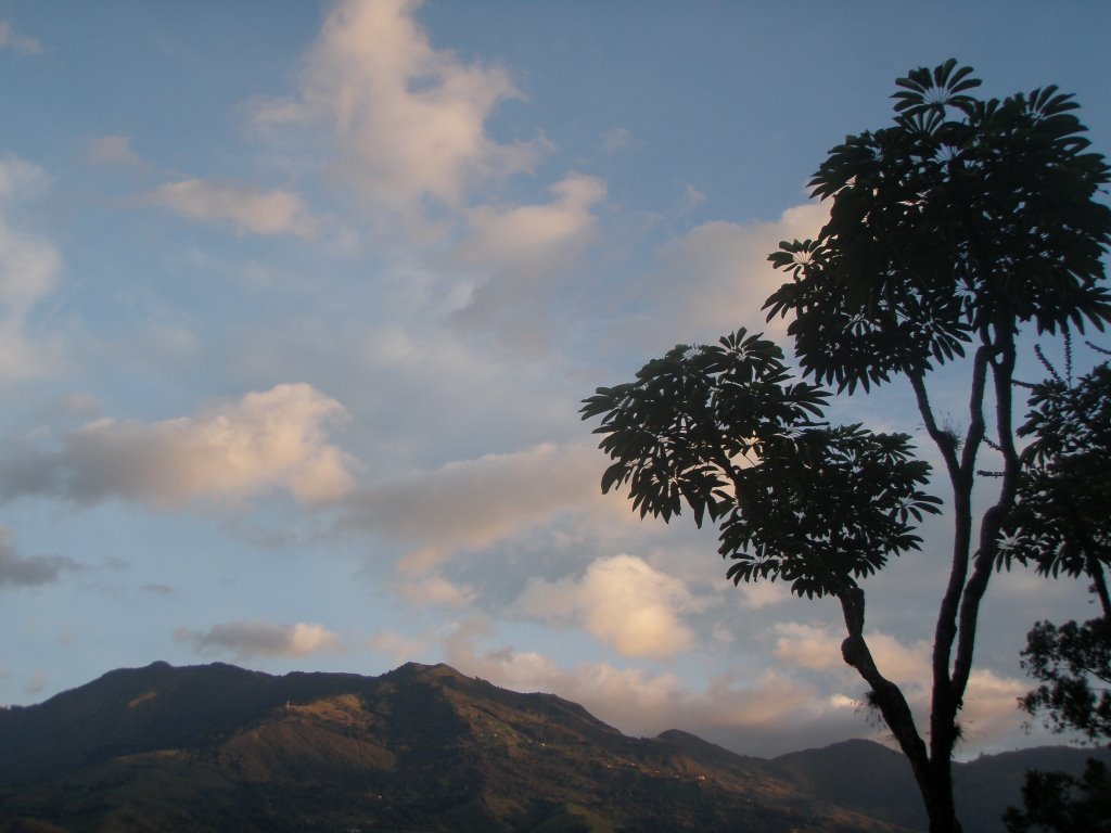 Amancer en el norte del valle de aburra( medellin colombia) by fredycaja