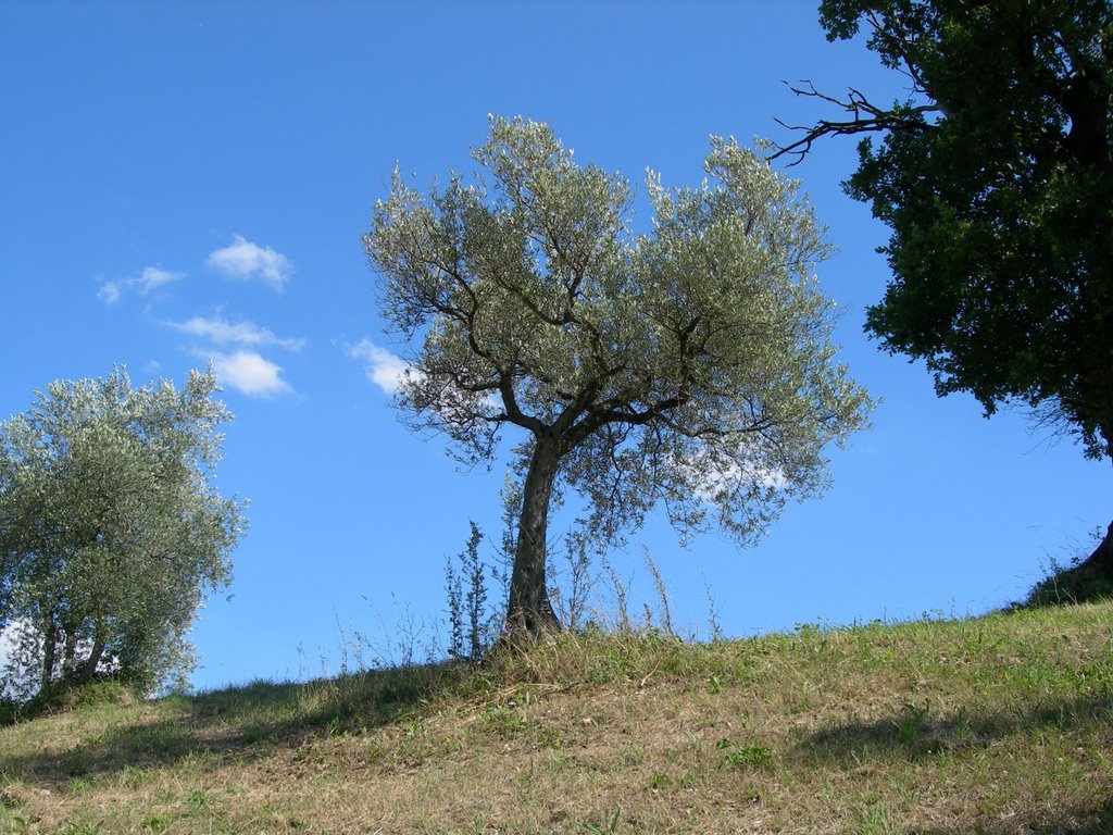 Perugia, Province of Perugia, Italy by Roberto Brencio