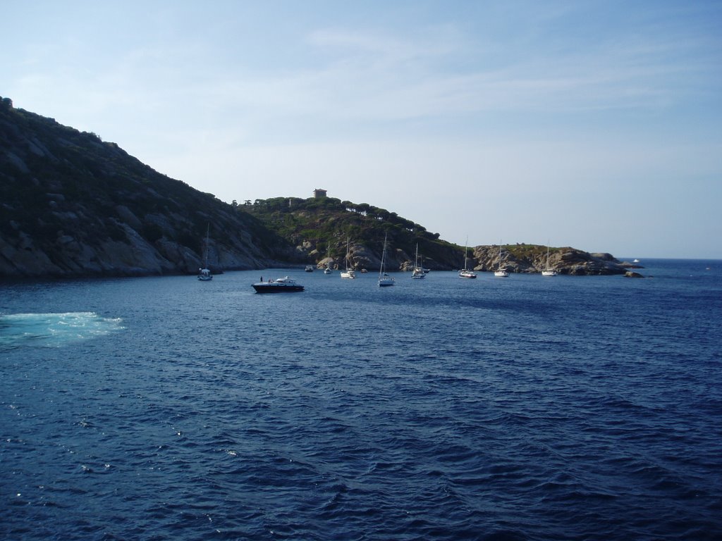 Giglio (02-08-2006) by Simone Dellabora