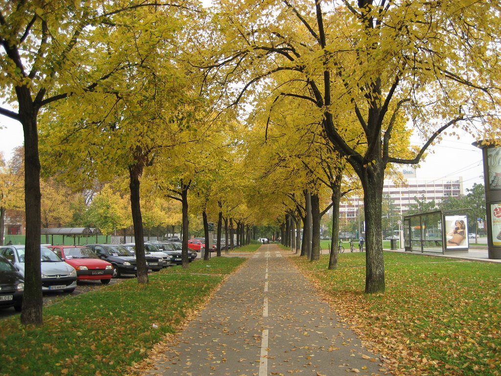 Devant le Lycee Kleber en automne by astray_cheung