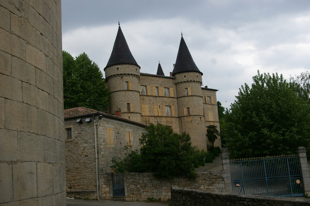 Chateau de Chambonas by steillier