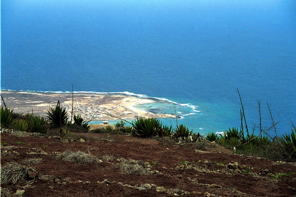 Vista da Baia das Gatas a partir de Monte Verde by César Maia Gomes