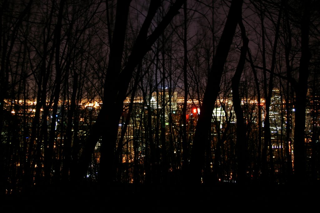 Centre-ville à travers les arbres by bengl