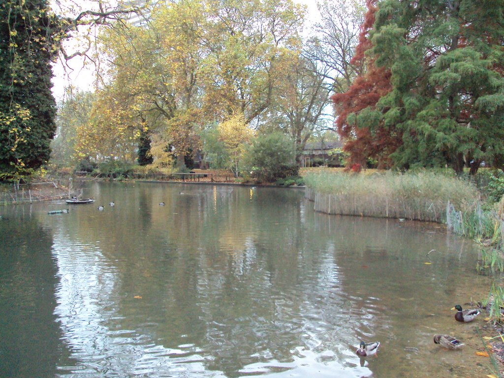 The rich pond in Southwark Park by amaraa1596