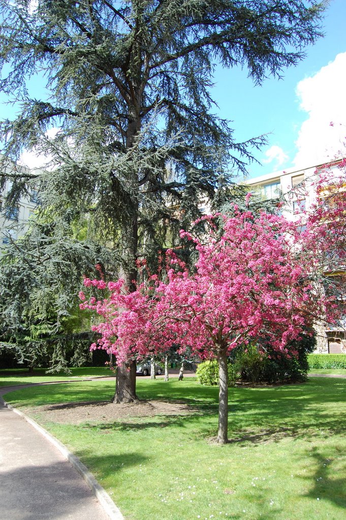 Longchamp jardin by chelioscrac