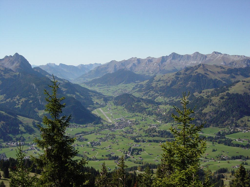 Horneggli Towards Saanen by Trevor Read