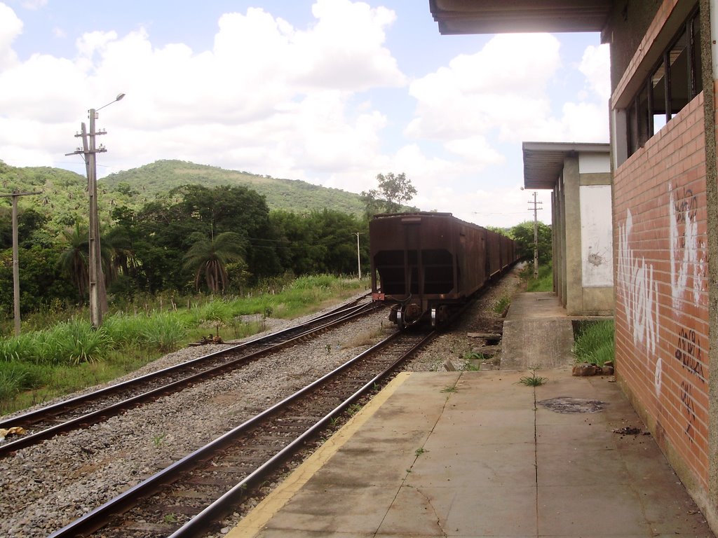 Trem de carga na estação by SamuelMarcos