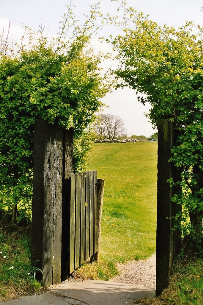 Ireland - Burren by Styve Reineck