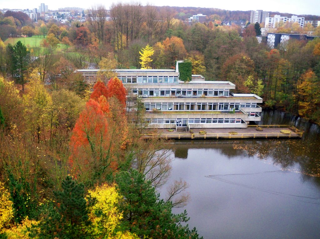 Aus dem Fenster by zuarin